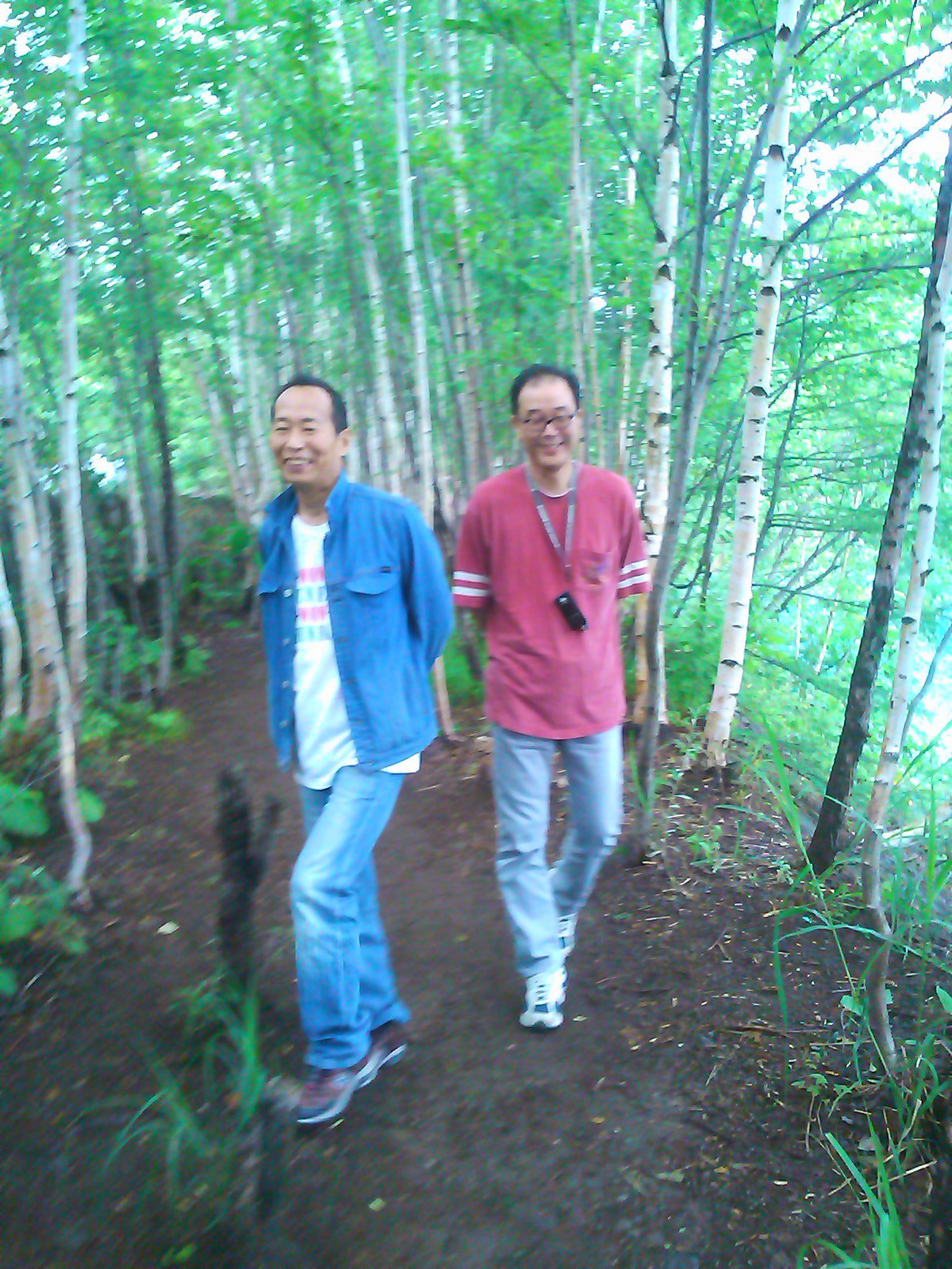 森じゃなく林を散策する二人（画像はイメージです。本文とは関係ありません）
